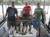 (07/02/2017) - Nice Striped Bass
